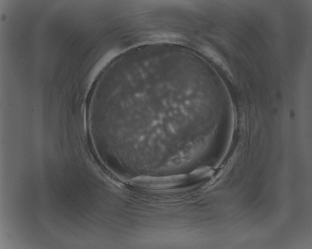 X0000071761275200606301121