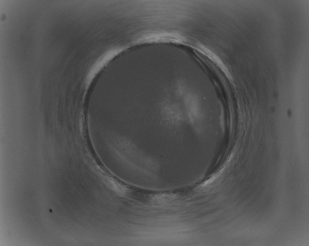 X0000071761277200606301121