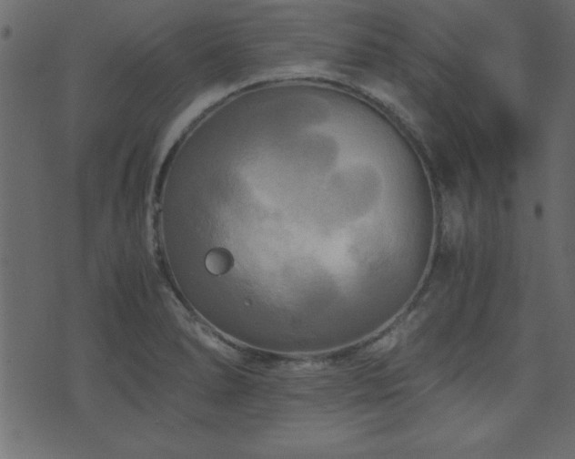 X0000071761278200606301121