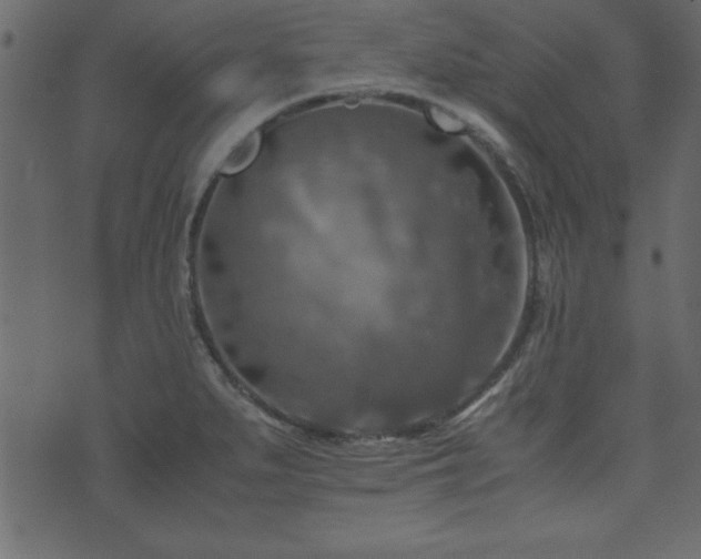 X0000071761279200606301121