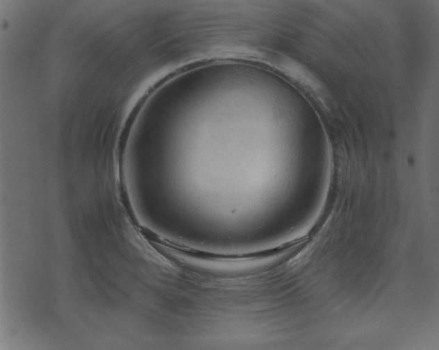 X0000071761280200606301121