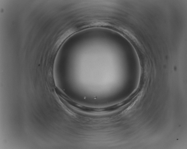 X0000071761281200606301121