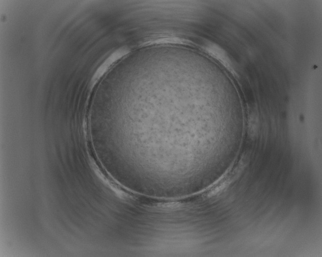 X0000071761282200606301121