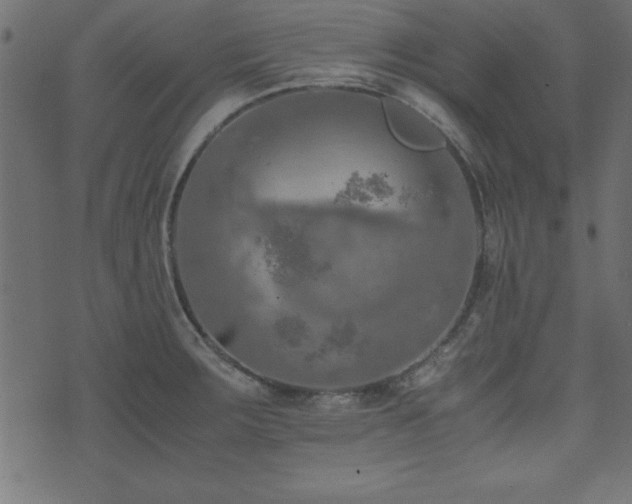 X0000071761283200606301121