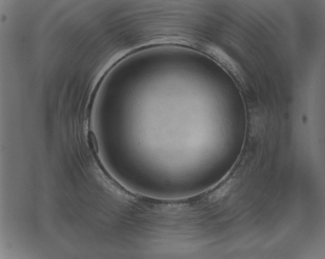 X0000071761284200606301121