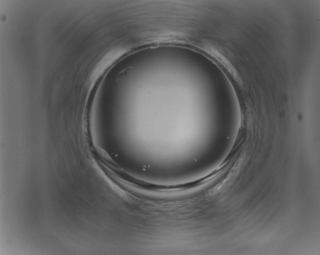 X0000071761285200606301121