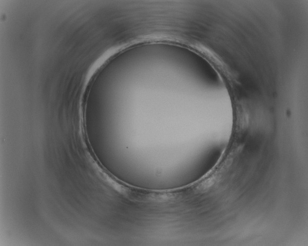 X0000071761286200606301121