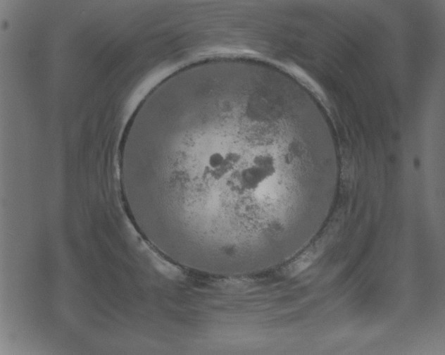 X0000071761287200606301121