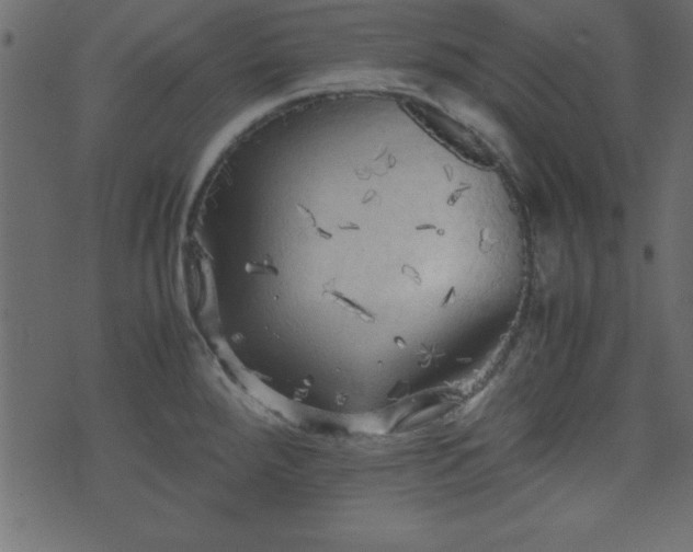 X0000071761288200606301121