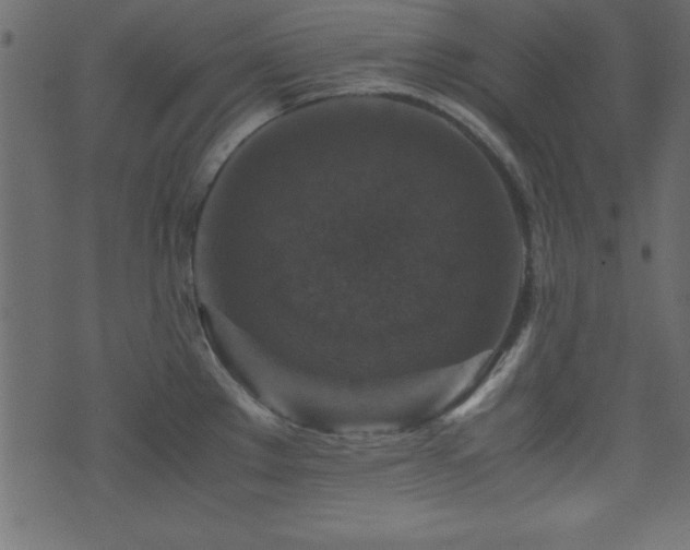 X0000071761289200606301121