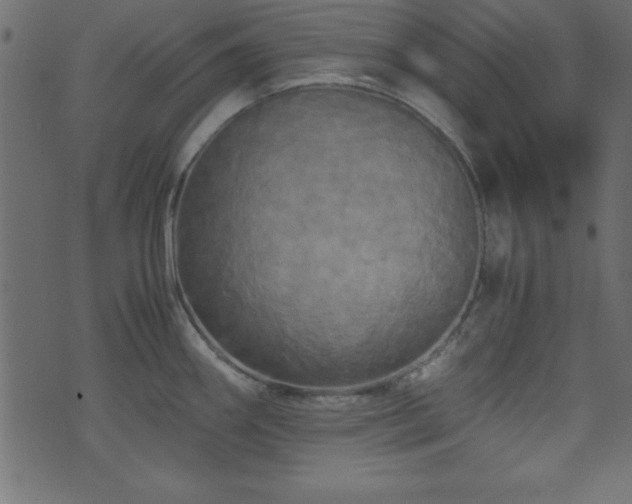 X0000071761290200606301121