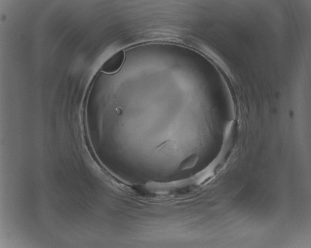 X0000071761291200606301121