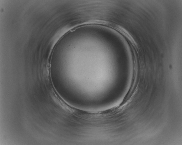 X0000071761292200606301121