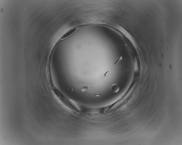 X0000071761293200606301121