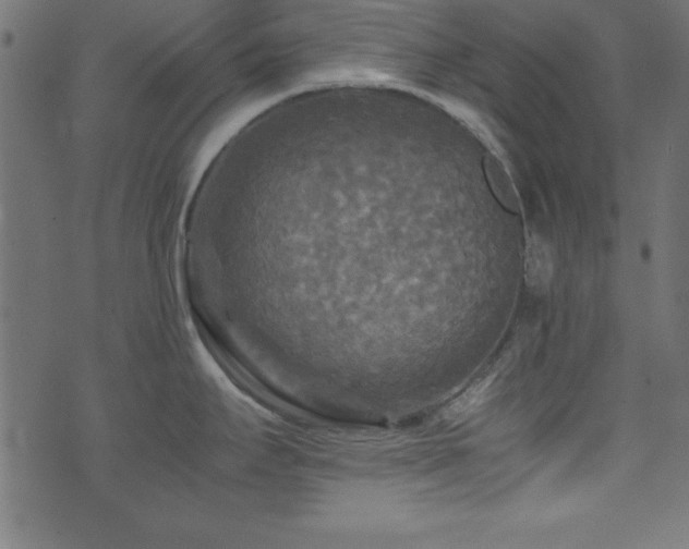 X0000071761295200606301121