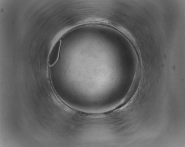 X0000071761296200606301121