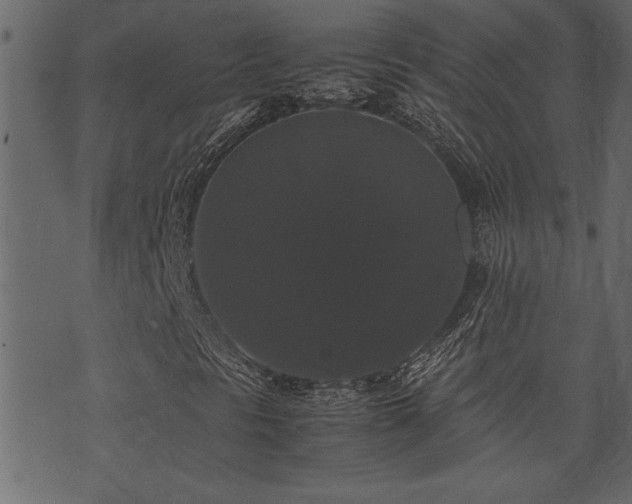 X0000071761297200606301120