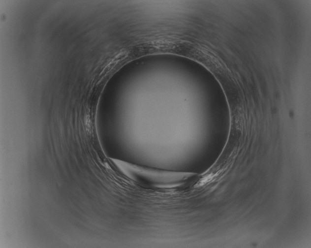 X0000071761298200606301120