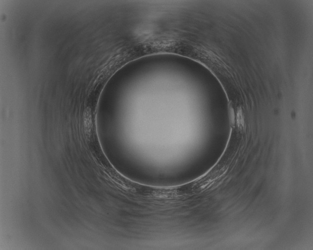 X0000071761299200606301120