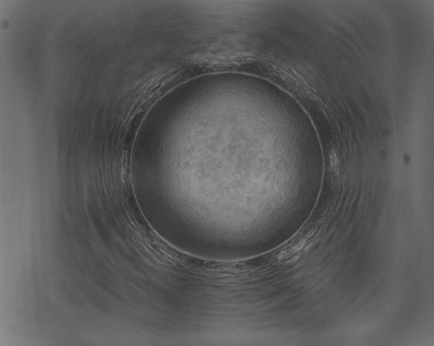 X0000071761300200606301120