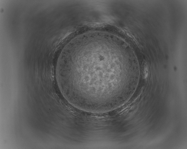 X0000071761301200606301120