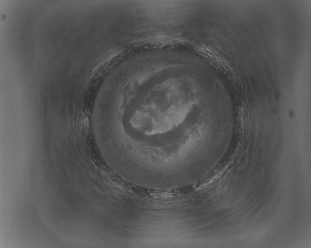 X0000071761302200606301120