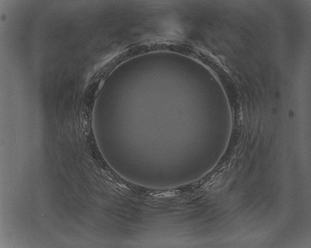 X0000071761303200606301120