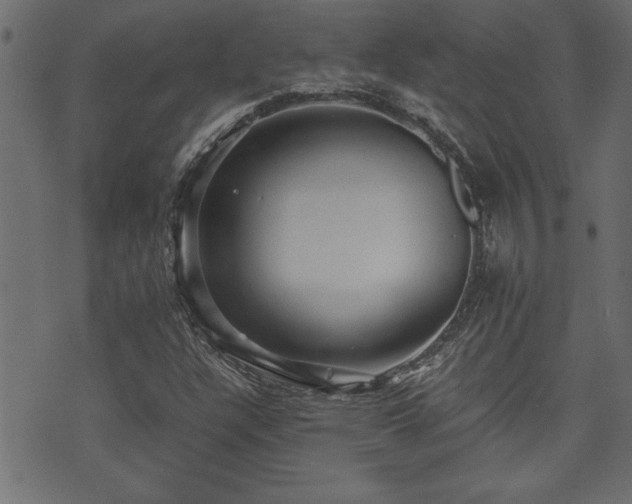 X0000071761304200606301120