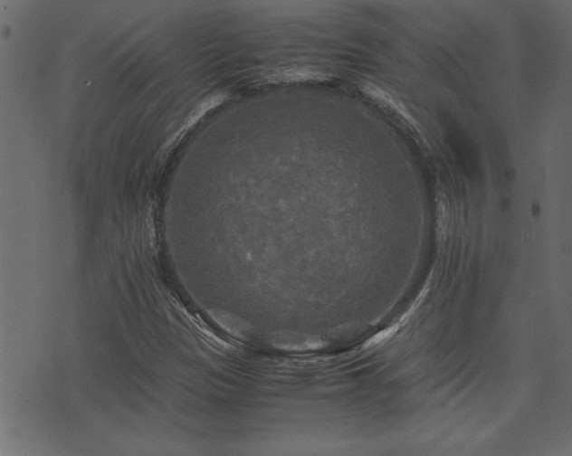 X0000071761305200606301120