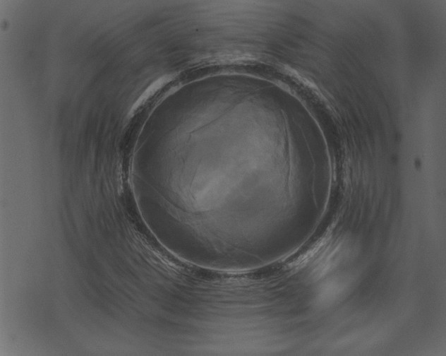 X0000071761306200606301120