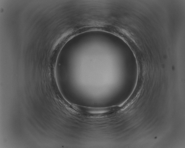 X0000071761307200606301120