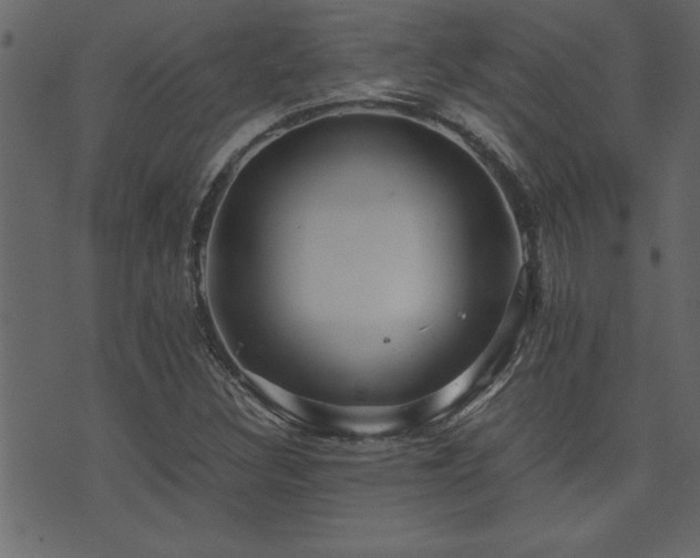 X0000071761308200606301120