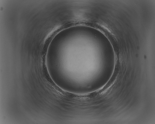 X0000071761309200606301120