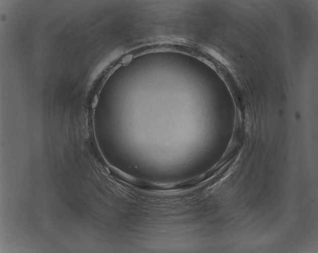 X0000071761310200606301120