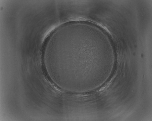 X0000071761311200606301120