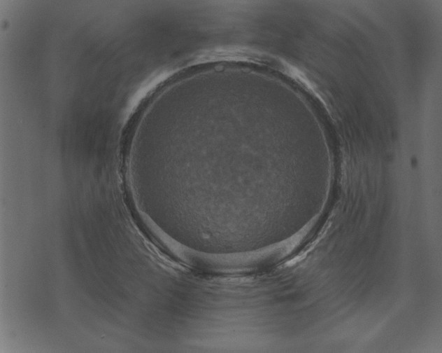 X0000071761312200606301120