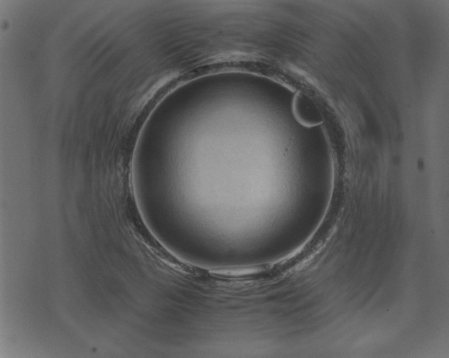 X0000071761313200606301120