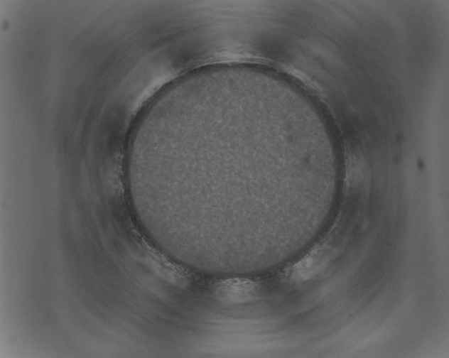 X0000071761314200606301120