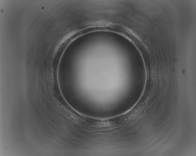 X0000071761315200606301120