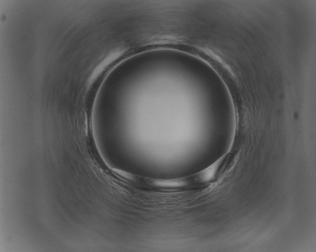 X0000071761317200606301120