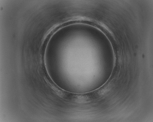 X0000071761318200606301120