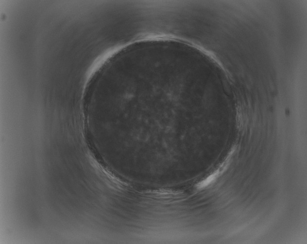 X0000071761319200606301120