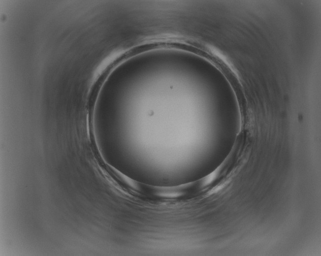 X0000071761320200606301120