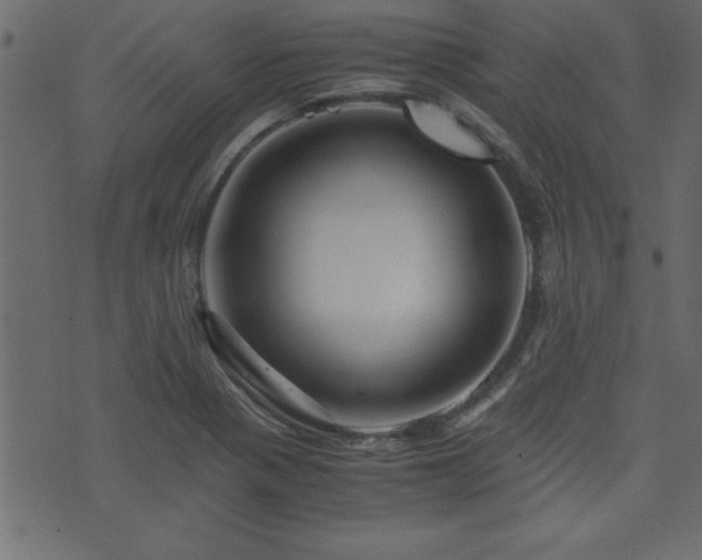 X0000071761321200606301120