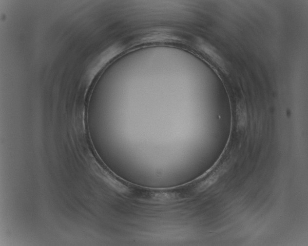 X0000071761322200606301120