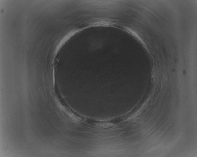 X0000071761323200606301120