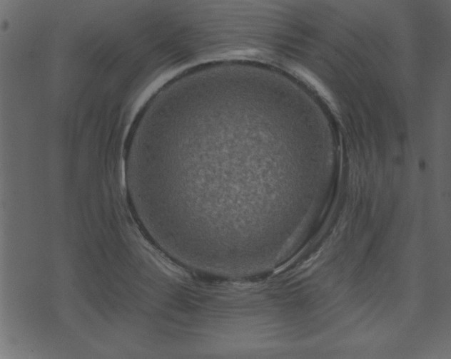 X0000071761324200606301120