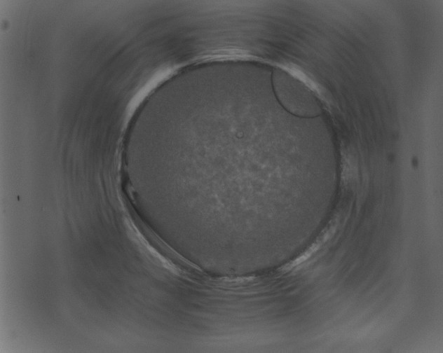 X0000071761325200606301120