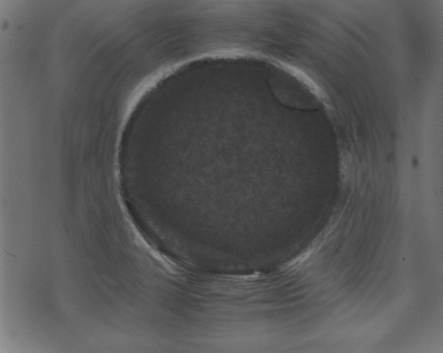 X0000071761327200606301120