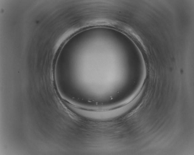 X0000071761328200606301120